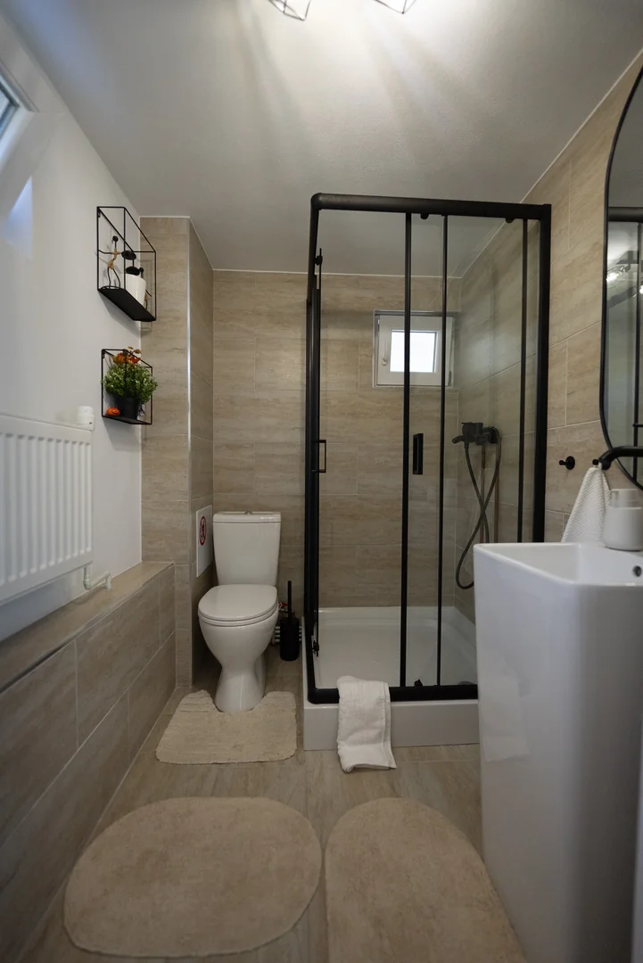 Bathroom Origini de Rucar guesthouse