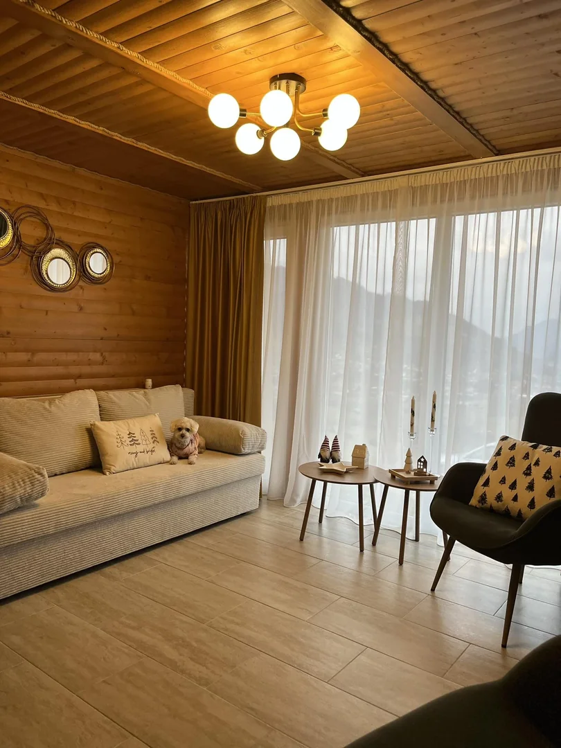 Spacious open-space living room for relaxation and socializing
