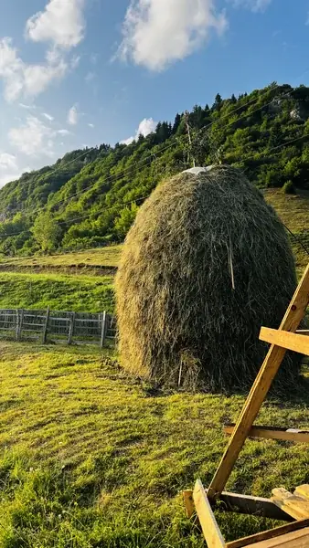 A traditional haystack on a mountain meadow in summer