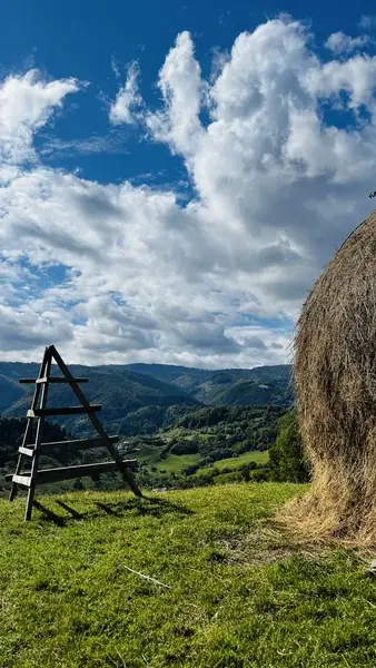 A haystack and its wooden drying frame on the meadow, looking towards the Iezer-Păpușa Mountains