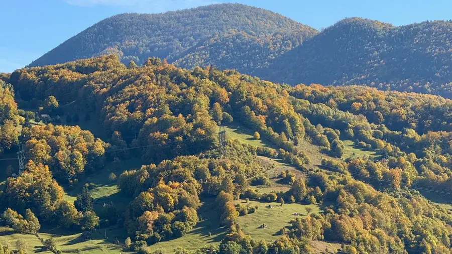 Autumn-colored forests on the slopes around Rucăr