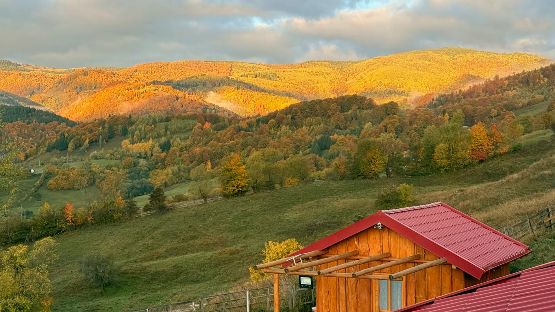 Forests in Rucar dressed in spectacular autumn colors