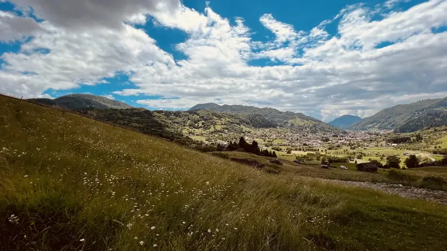 A meadow of wildflowers and summer clouds over the valley